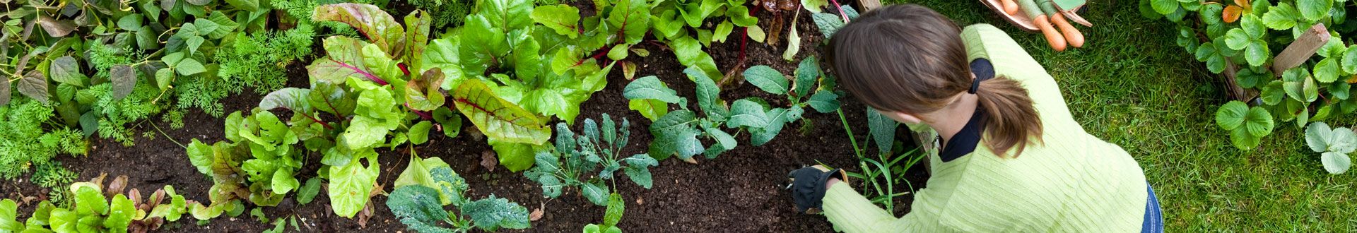 Urinary Incontinence Treatment